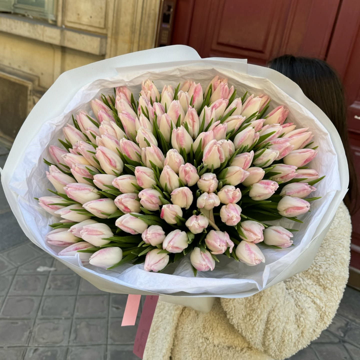 101 Tulips