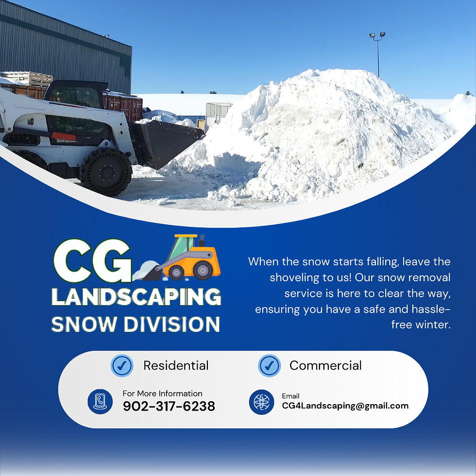 Cg snow 3.png