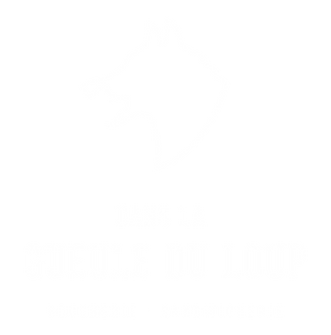 Dans la gueule du loup logo