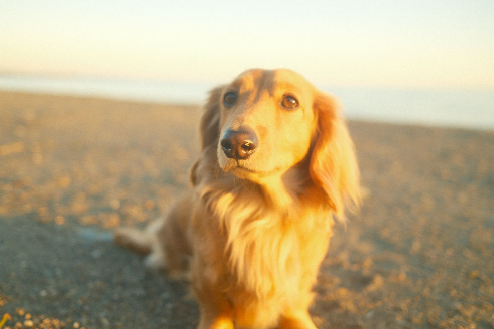 派手じゃないのに、仕事が途切れない人の共通点