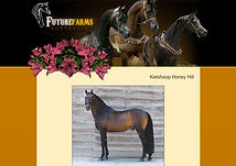 Kielshoop Honey Hill banner.jpg