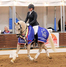 Dynamik Great Expectations comp 1.jpg