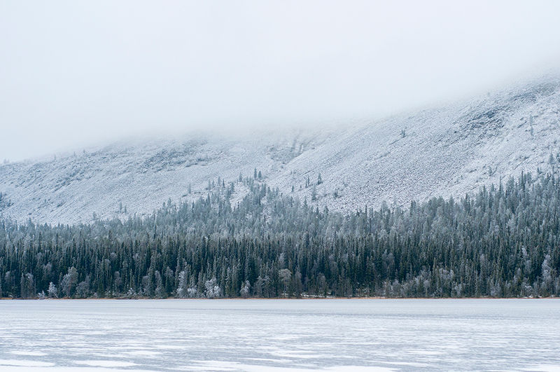 Winter in Finnish Lapland
