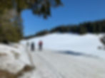 Nordic skiing in the Jura