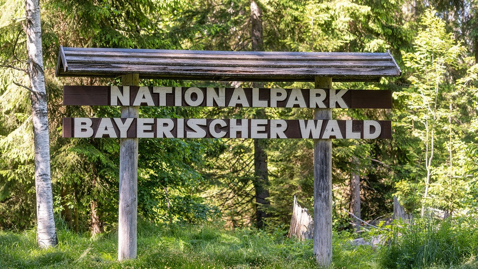 nationalpark-bayerischer-wald.jpg