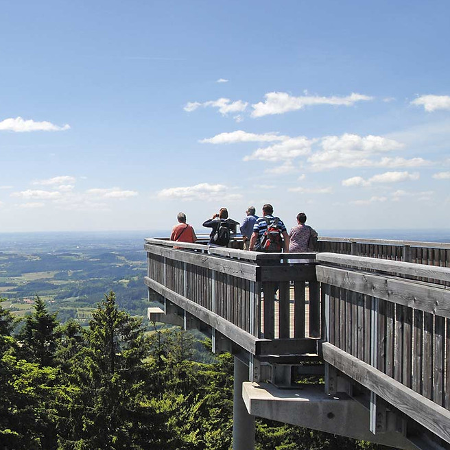 Waldwipfelweg-01.jpg