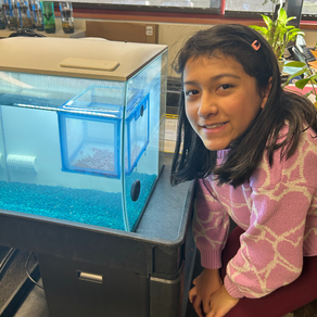 Stream-to-Sea Classroom Science at Kennydale Elementary School