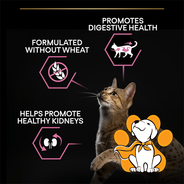 Thumbnail: Purina Pro Plan Adult Delicate Digestion Turkey 10kg, Dehidrirana Hrana za Zdravu Kožu