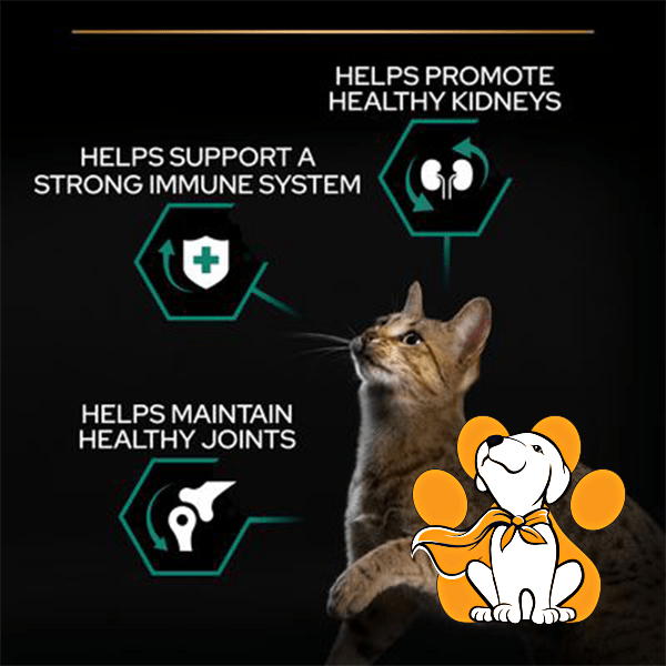 Thumbnail: Purina Pro Plan Adult Renal Plus Chicken 1,5kg, Suva Hrana za Zdravlje Bubrega