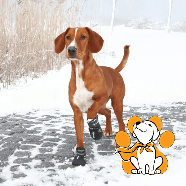 Thumbnail: Trixie Crne Cipelice Walker Active XS, Za Pse