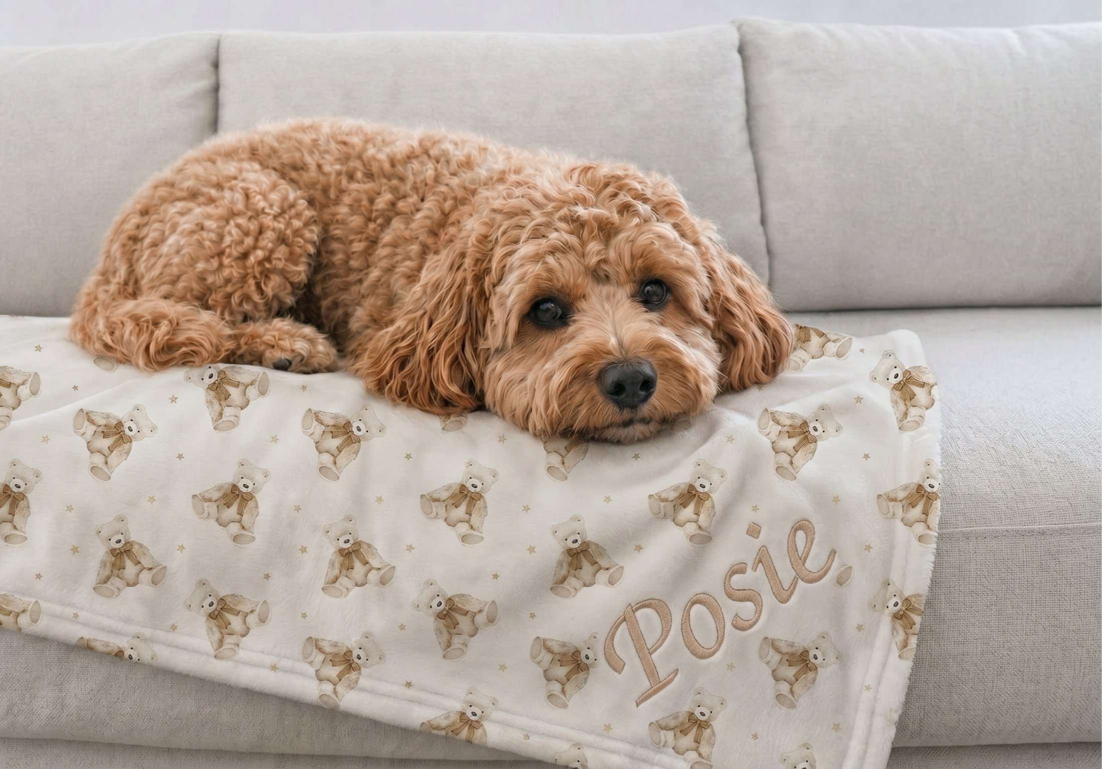 Personalised Embroidered Pet Blanket