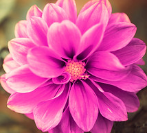 Untitled design (8)_edited.jpg