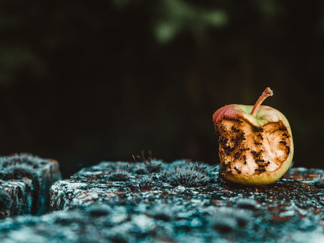 guilt is ruining your life