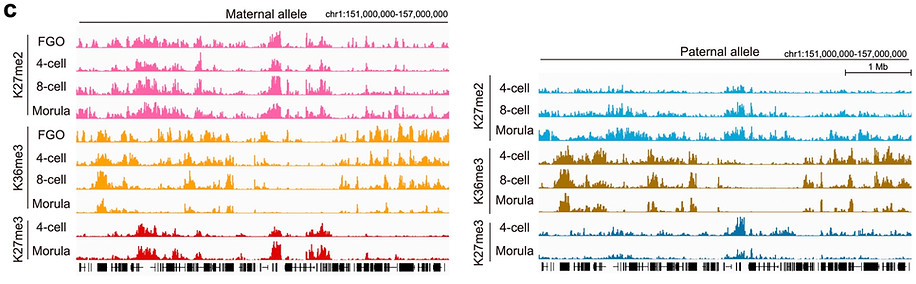 CATCH-seq.jpg