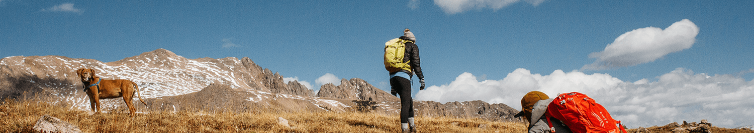 Zwei Wanderer mit Hund in den Bergen