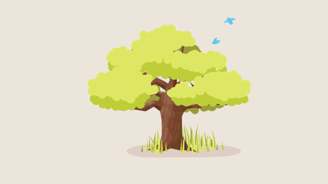 shot_tree_of_seasons_01 (1).gif
