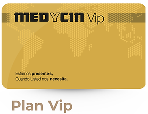 PLAN VIP WEB.png