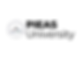 15.png