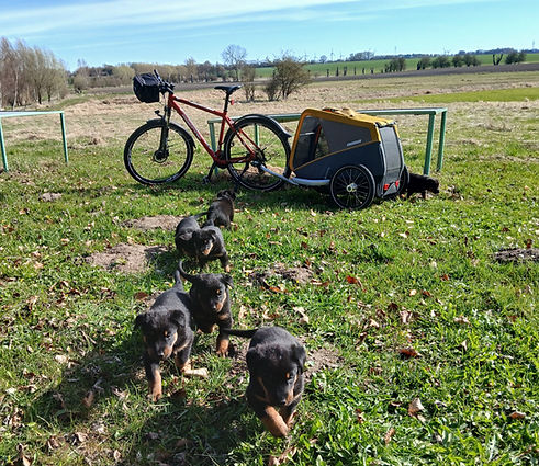 20260409_102356_edited.jpg