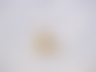 Quaresima dell'anima by Giorgia Ferrucci psicologa