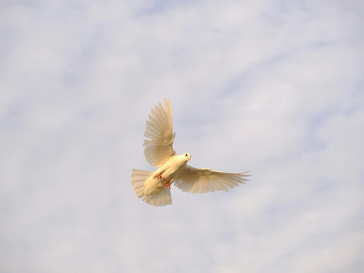 Quaresima dell'anima by Giorgia Ferrucci psicologa