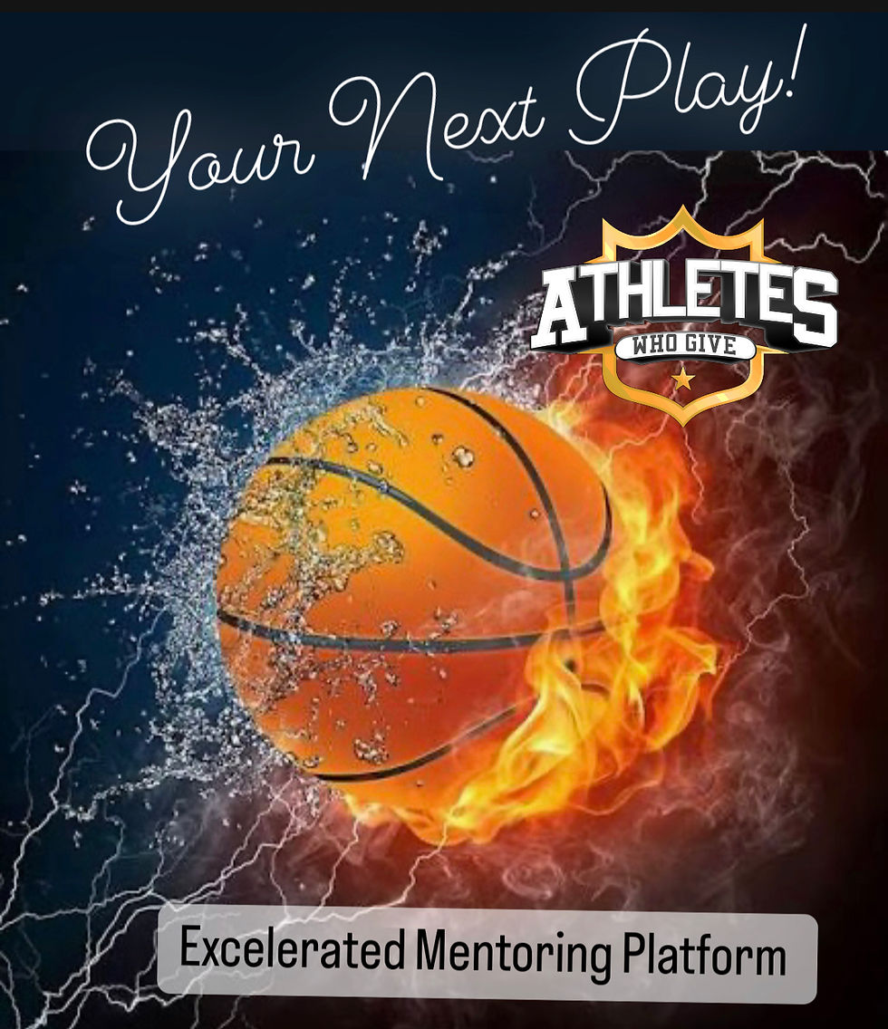 ASK ABOU THE NEXT PLAY MENTORING PLATFORM