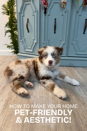 How to Make Your Home More Pet-Friendly (Without Sacrificing Aesthetic!)