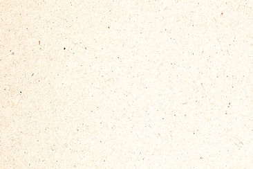 Paper Texture_edited.jpg