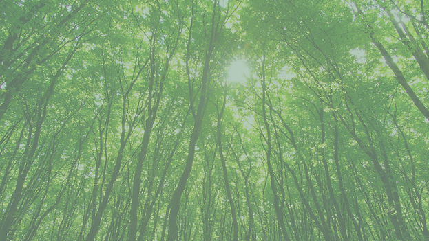 Header ohne Schrift.png