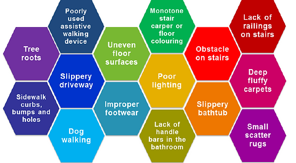 [graphic made up of multicolored hexagons: Tree roots, Poorly used assistive walking device, uneven floor surfaces, Monotone stair carpet or floor colouring, obstacle on stairs, lack of railings on stairs, sidewalk curbs, bumps, and holes, slippery driveway, improper footware, poor lighting, slippery bathtub, deep fluffy carpets, dog walking, lack of handle bards in the bathroom, small scatter rugs.]
