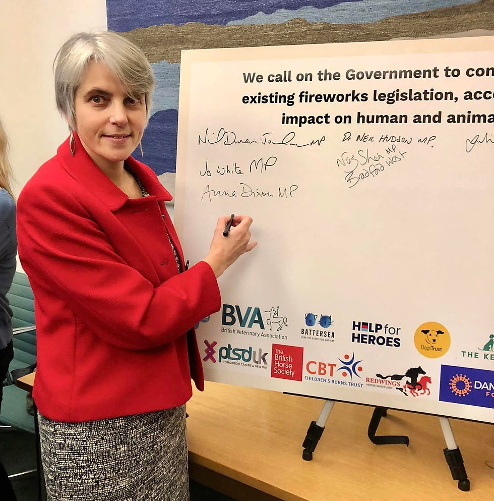 Shipley MP pushes for changes to fireworks legislation