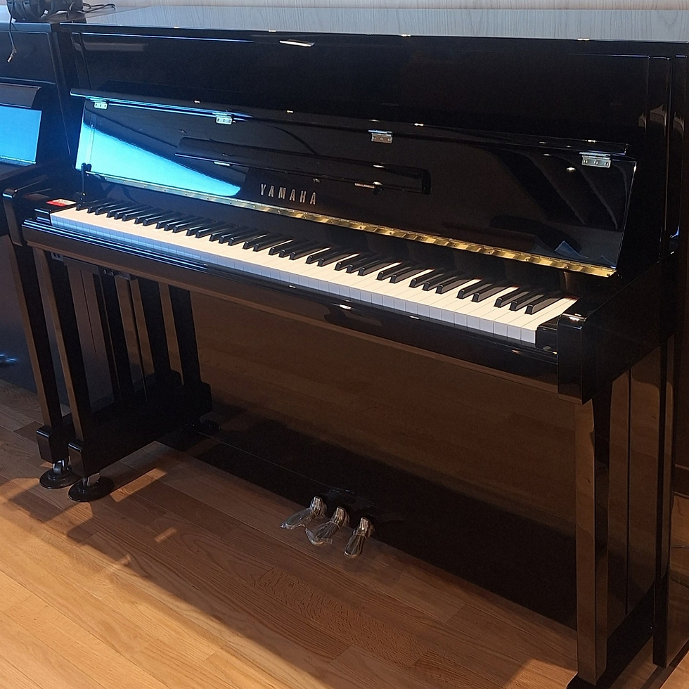 サムネイル： YAMAHA b113SC3｜コンパクトに広がる本物の響き