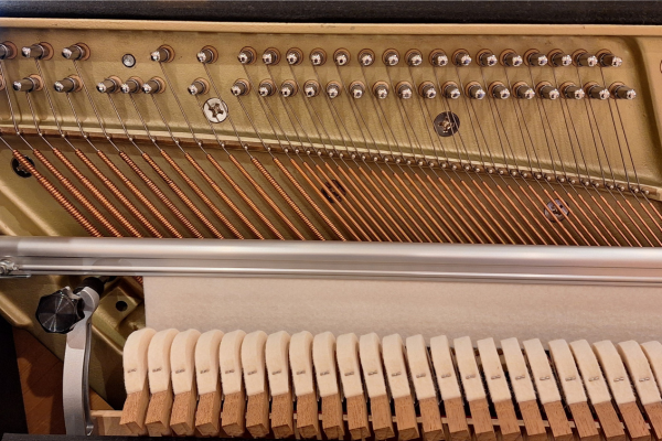 サムネイル： KAWAI K-300｜カワイ現行モデルの豊かな歌声