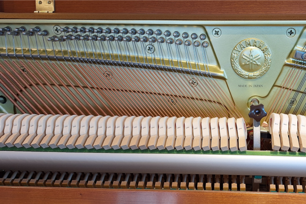 サムネイル： YAMAHA YF101C-SG2｜家具のような美しさと静寂