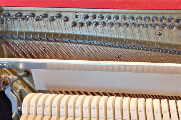 サムネイル： YAMAHA b113｜コンパクトな現行スタイル