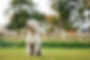 Little retreats-023.JPG