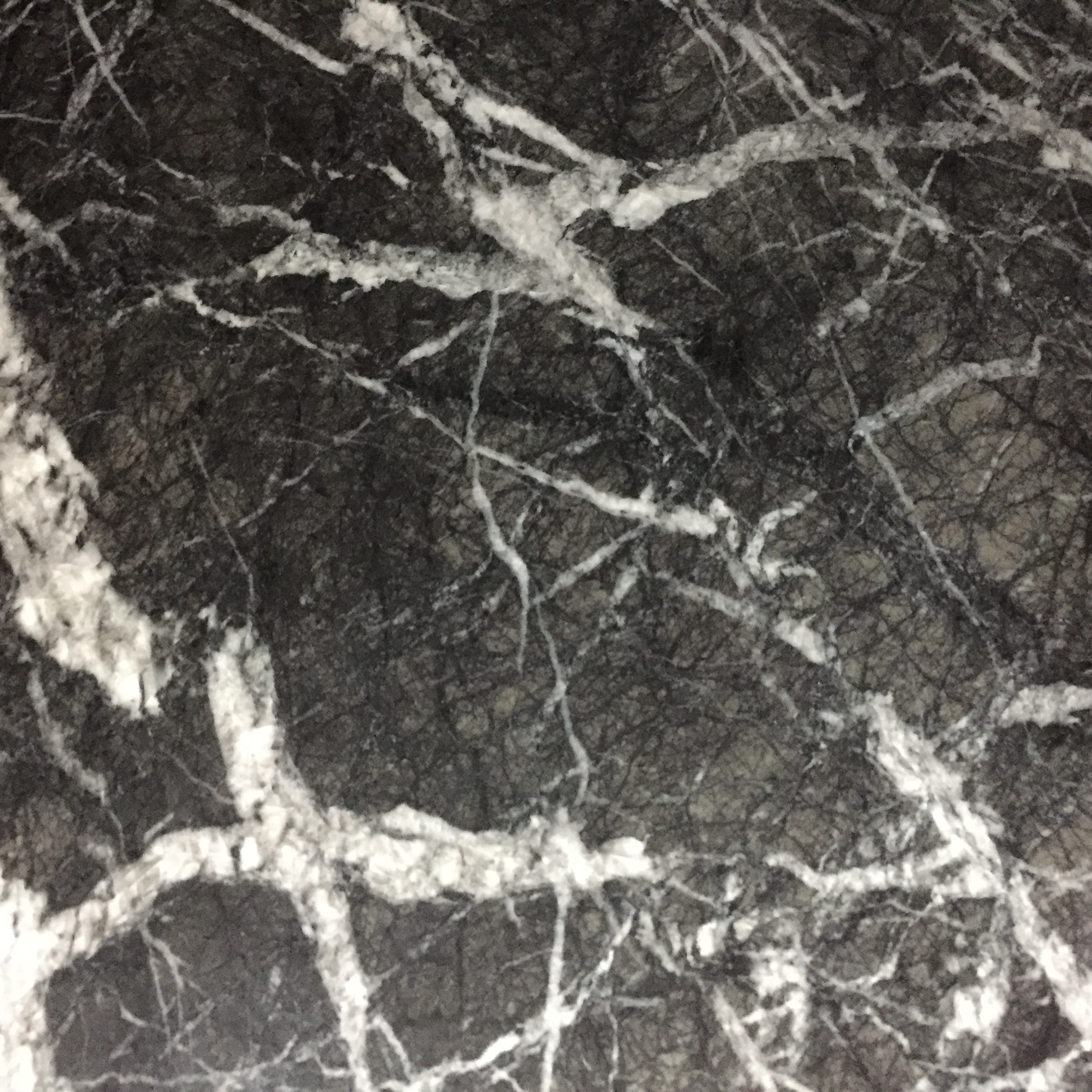 Grigio Carnico