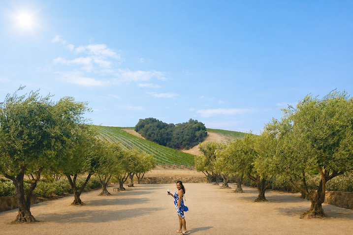 Winetasting at Niner Winery - Paso Robles in Pismo Vacay Home.png