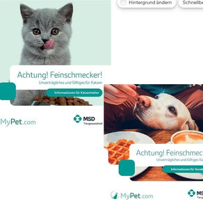 Unverträgliches und Giftiges für Hunde und Katzen – Was Sie wissen sollten