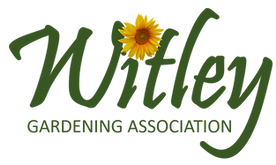 LOGO 1 (Sunflower).png