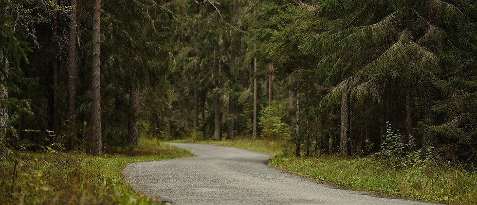 winding path.jpg