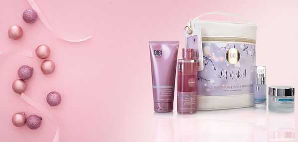 meraki christmas copy.jpg