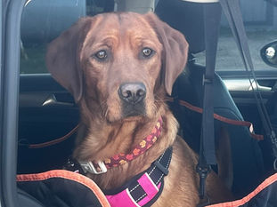 Ruby (Ember & Thunder)