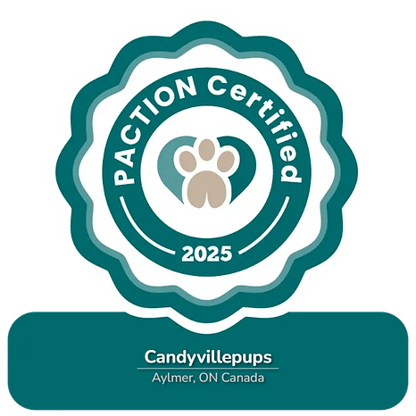 paction-certification-badge (2).png