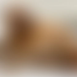 Meet Kindle’s Precious Wee Ones 🤗💞