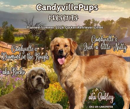 Oakley & Rocko Summer 2026.jpg