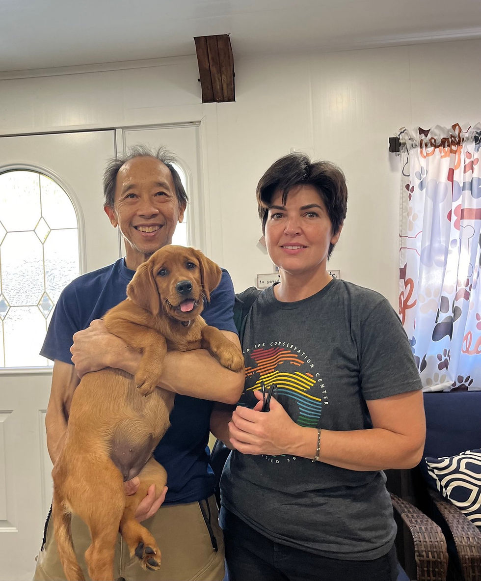 Sweet Sage went home to Sayre, Pennsylvania, USA on Saturday with her wonderful new family.🩷🩷