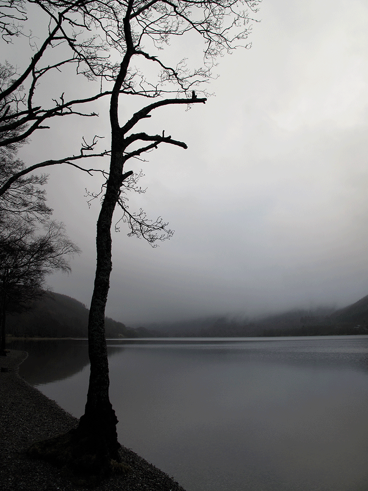 Scotland