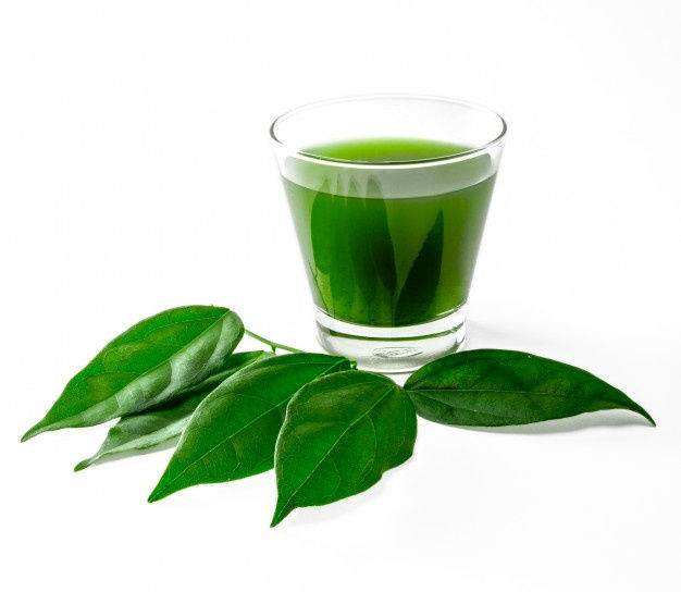 כלורופיל כמסייע במצבי עייפות כרונית