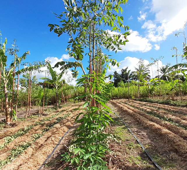 485627CE-5D75-421D-AC09-10A7C928ED81_L0_001-04_02_2024, 16_50_50.jpg